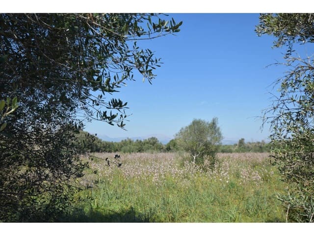 Finca/Casa Rural en Santa Margalida en venta - 241.000 € (Ref: 9719186)