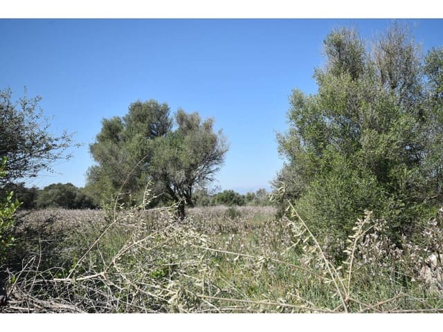 Finca/Casa Rural en Santa Margalida en venta - 241.000 € (Ref: 9719186)