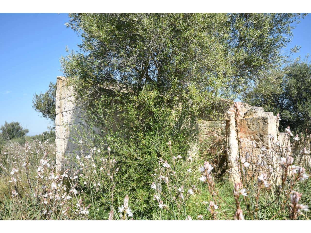 Finca/Country House for sale in Santa Margalida - € 241,000 (Ref: 9719186)