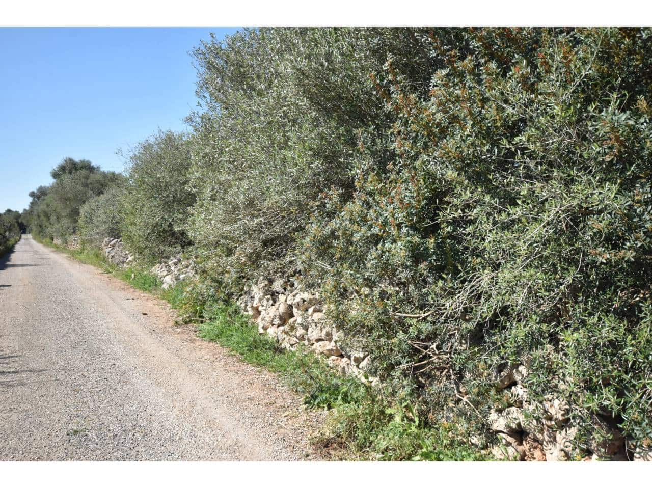 Finca/Country House for sale in Santa Margalida - € 241,000 (Ref: 9719186)