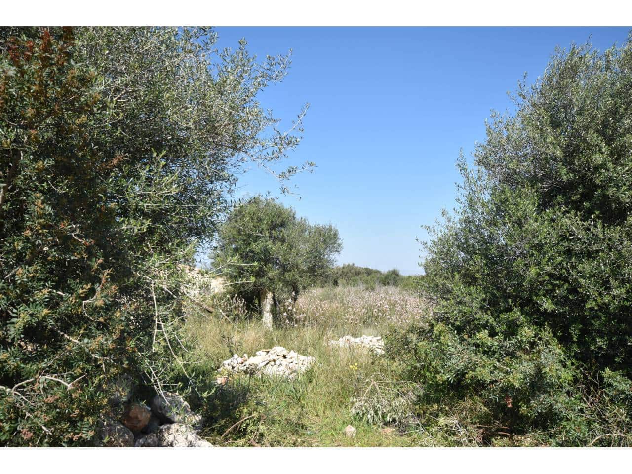 Finca/Country House for sale in Santa Margalida - € 241,000 (Ref: 9719186)