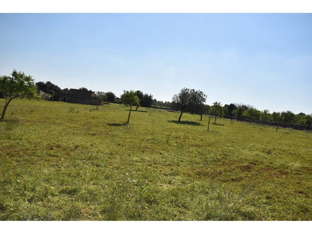 Undeveloped Land for sale in Santa Margalida - € 313,000 (Ref: 9720991)