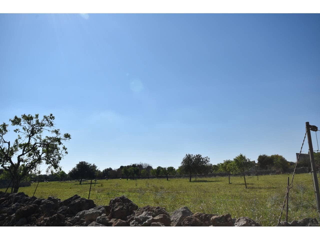 Undeveloped Land for sale in Santa Margalida - € 313,000 (Ref: 9720991)