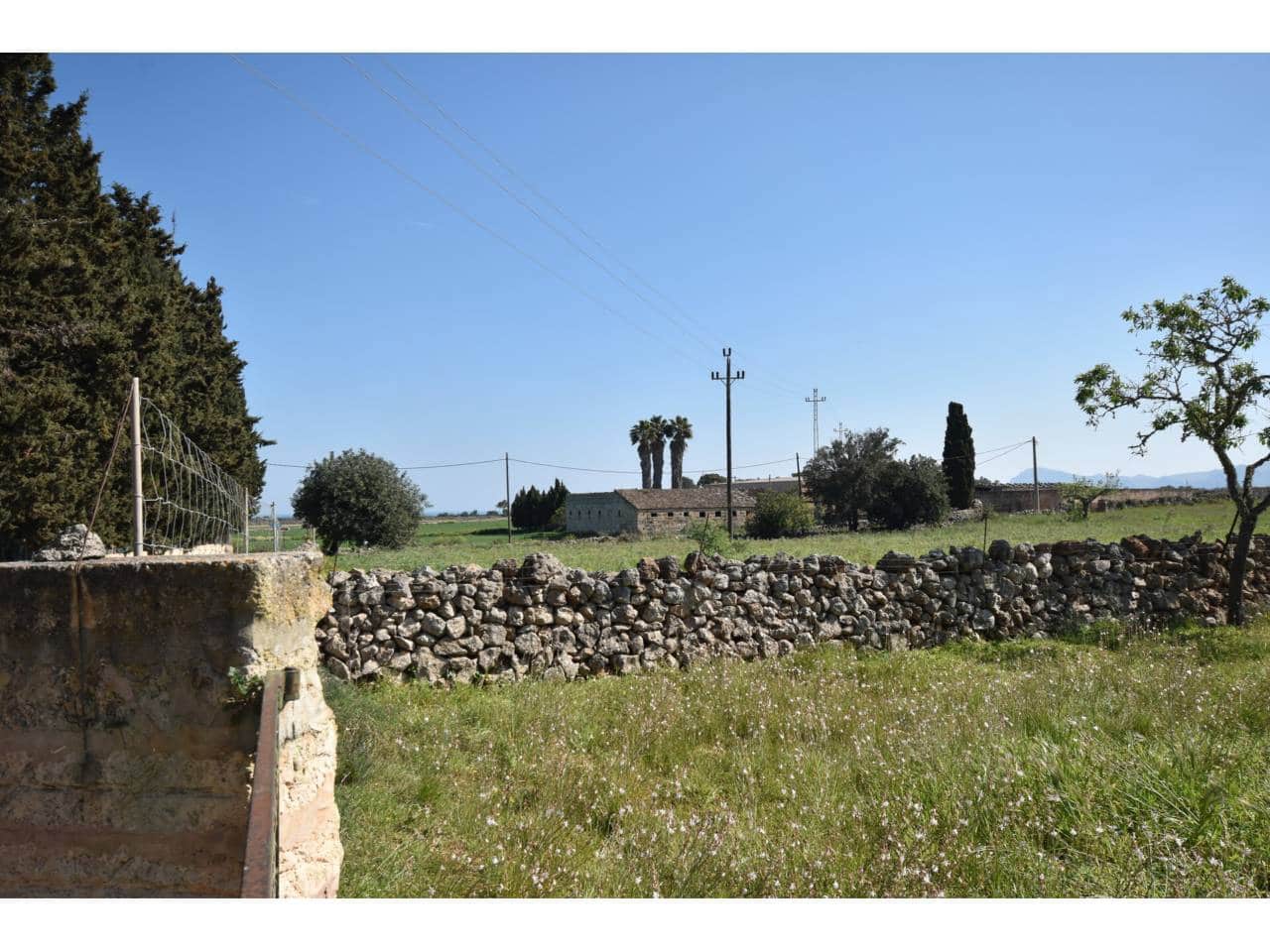 Undeveloped Land for sale in Santa Margalida - € 313,000 (Ref: 9720991)