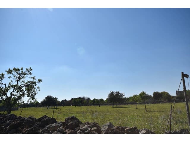 Landgrundstück zu verkaufen in Santa Margalida - 313.000 € (Ref: 9720991)