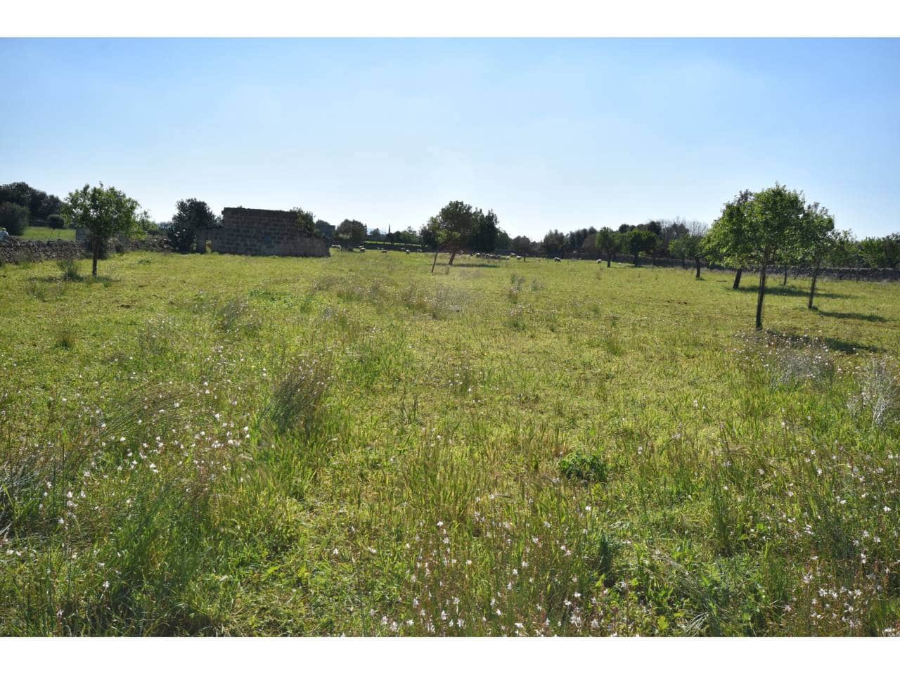 Undeveloped Land for sale in Santa Margalida - € 313,000 (Ref: 9720991)