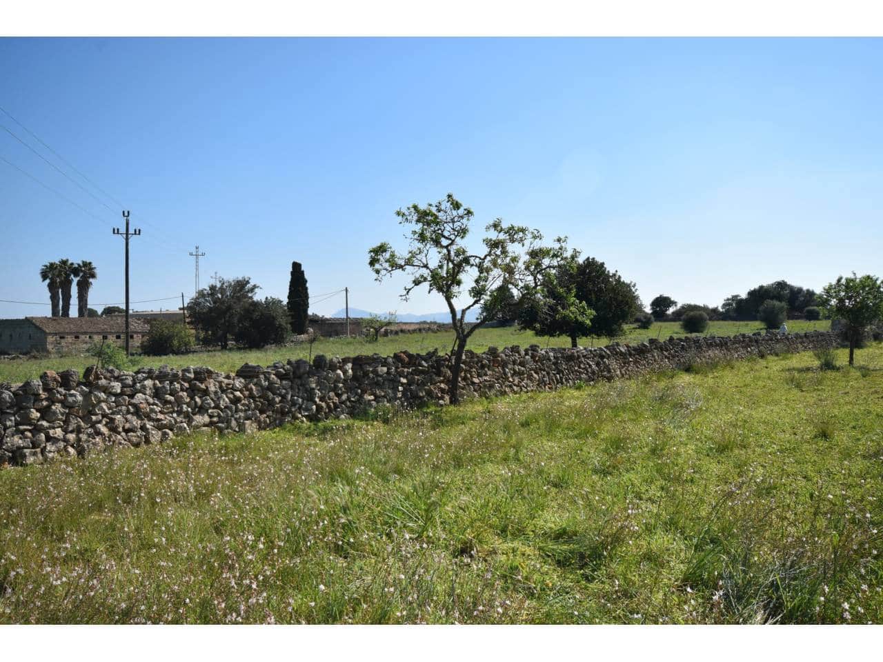 Undeveloped Land for sale in Santa Margalida - € 313,000 (Ref: 9720991)