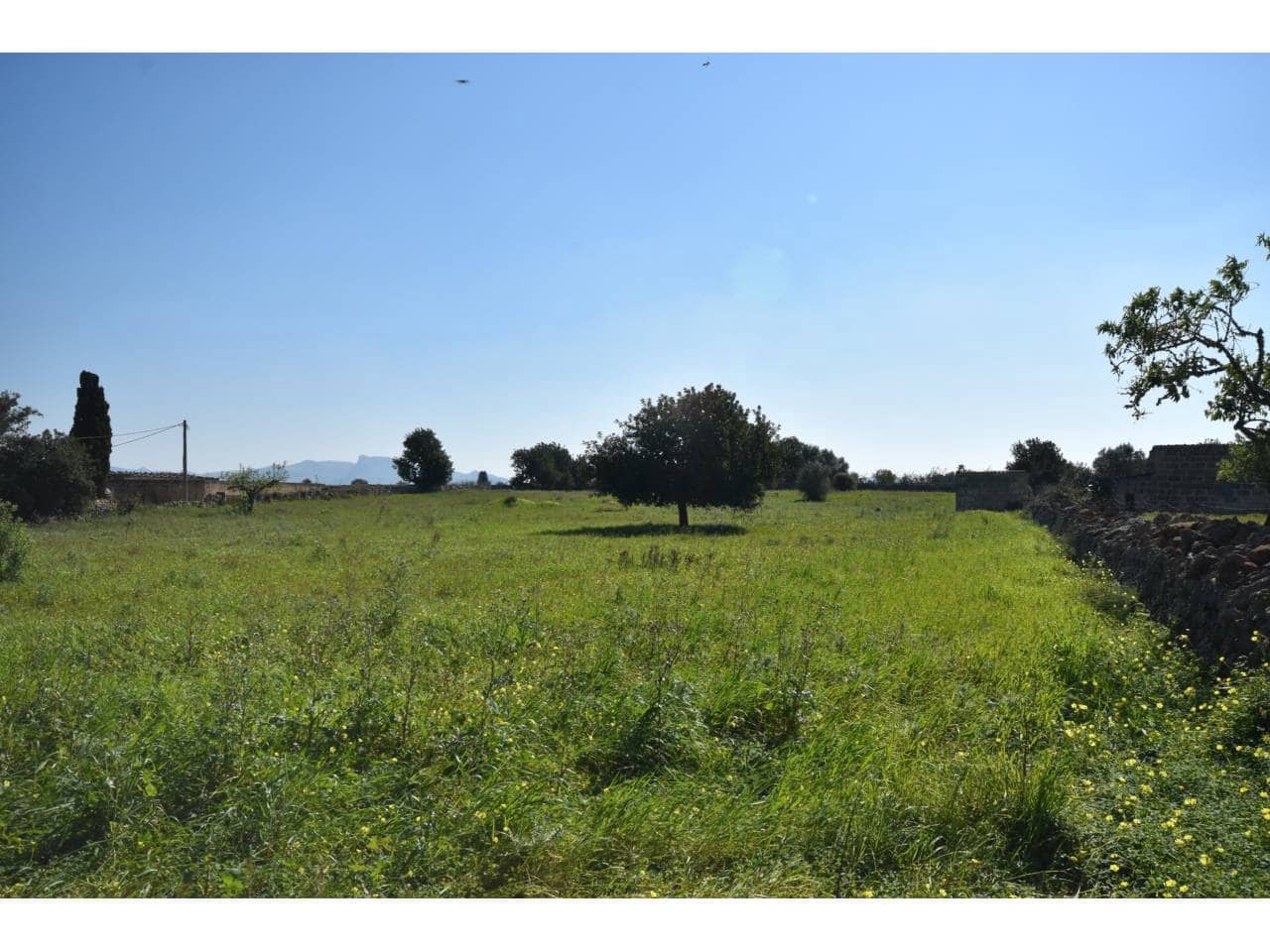 Undeveloped Land for sale in Santa Margalida - € 313,000 (Ref: 9720991)