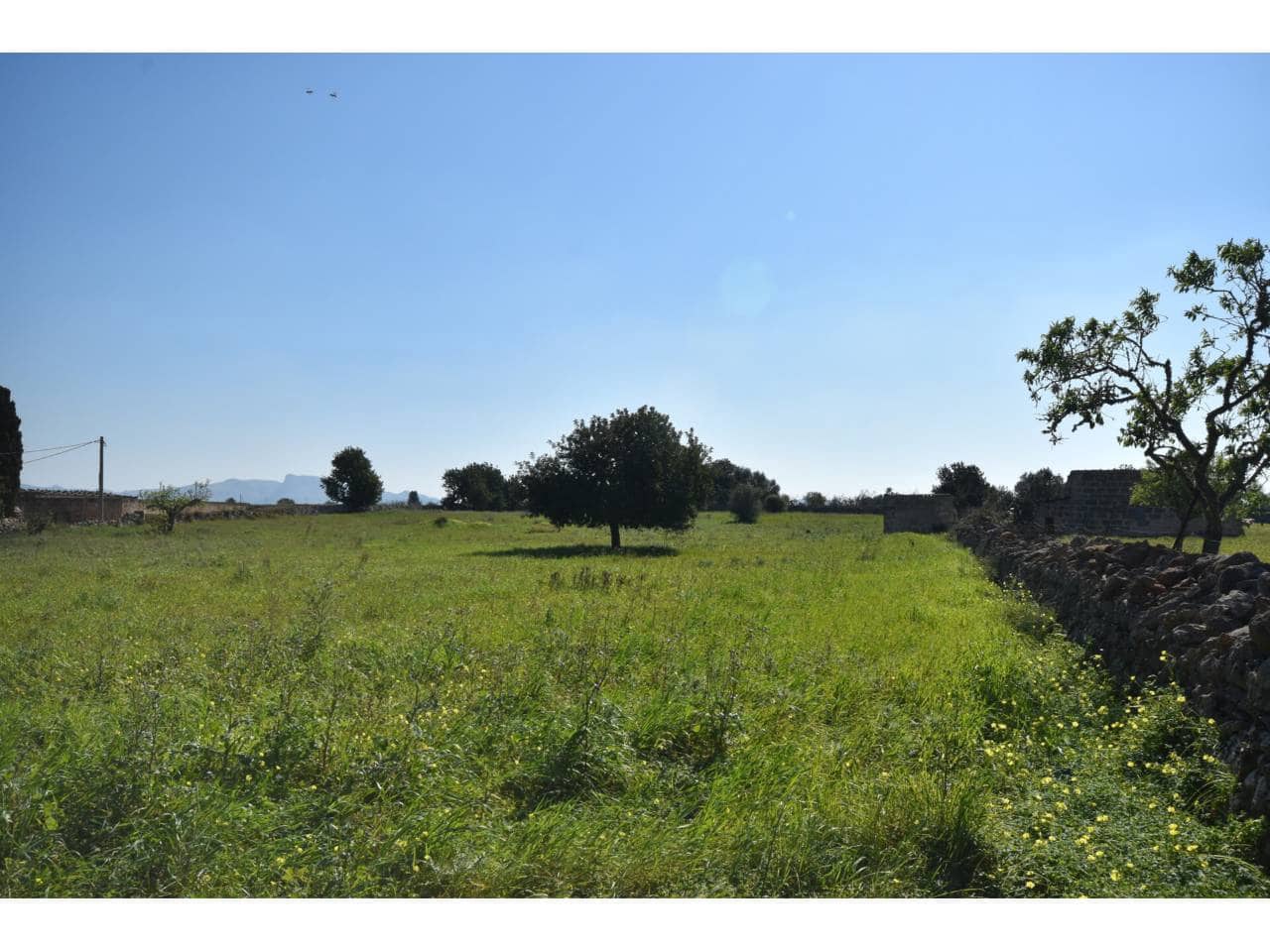 Undeveloped Land for sale in Santa Margalida - € 313,000 (Ref: 9720991)