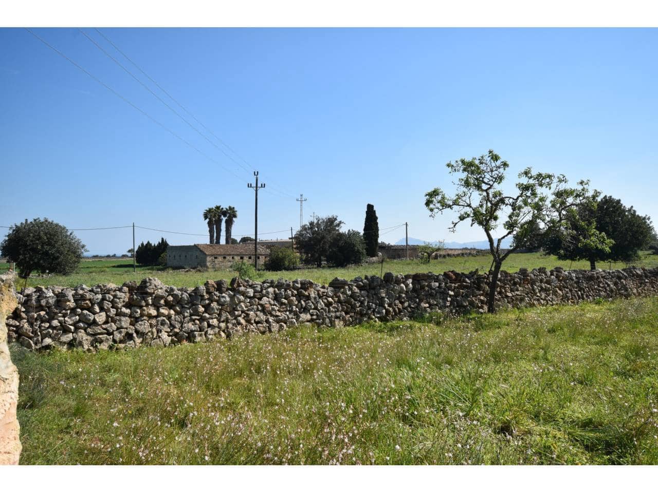 Undeveloped Land for sale in Santa Margalida - € 313,000 (Ref: 9720991)