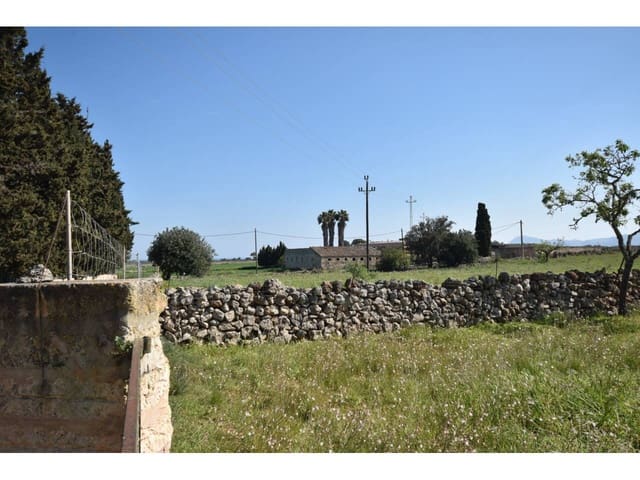 Landgrundstück zu verkaufen in Santa Margalida - 313.000 € (Ref: 9720991)