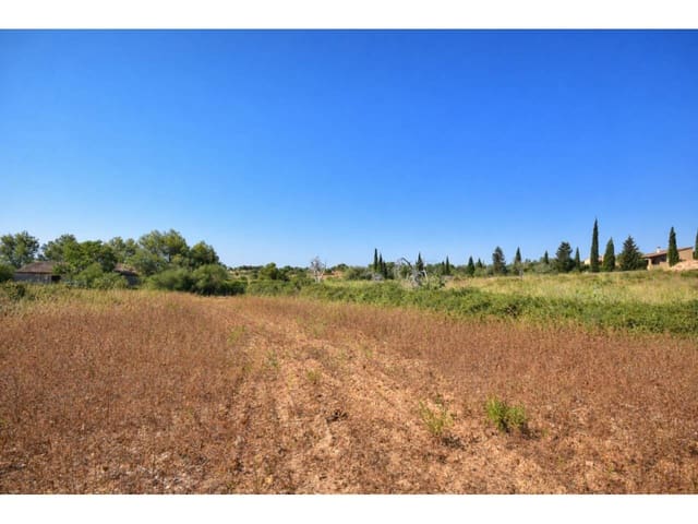 Terrain à Bâtir à vendre à Sant Llorenç des Cardassar - 380 000 € (Ref: 9961832)