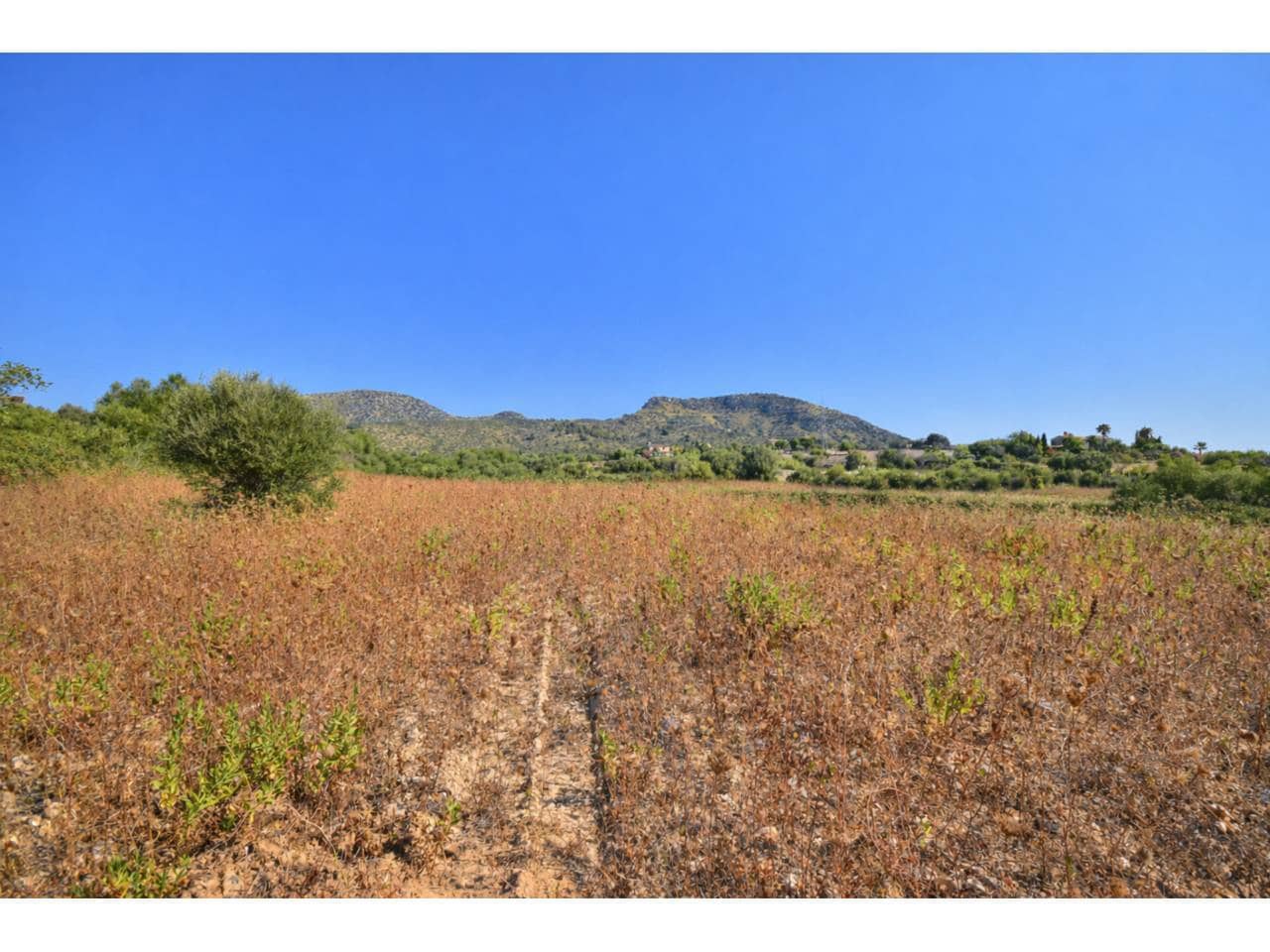 Building Plot for sale in Sant Llorenc des Cardassar - € 380,000 (Ref: 9961832)
