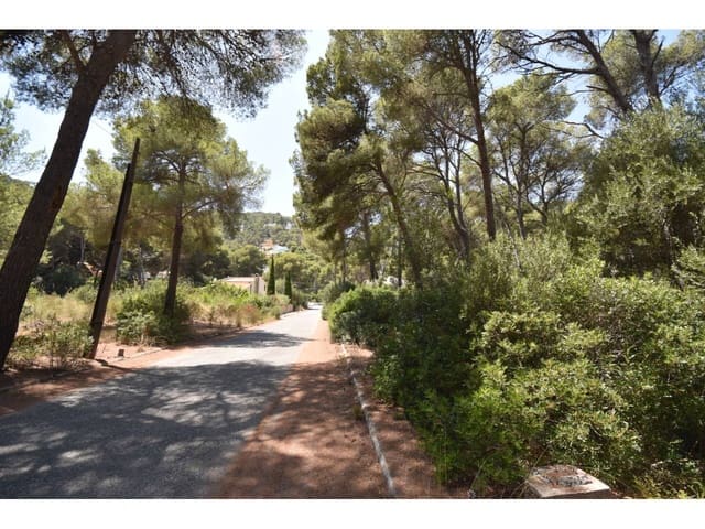 Grond te koop in Canyamel, Capdepera - € 160.000 (Ref: 9996508)