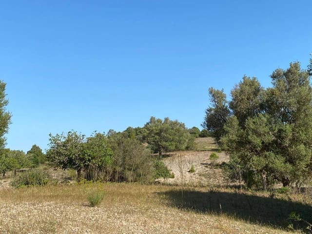 Finca/Landehus til salg i Artà - € 995.000 (Ref: 9997959)