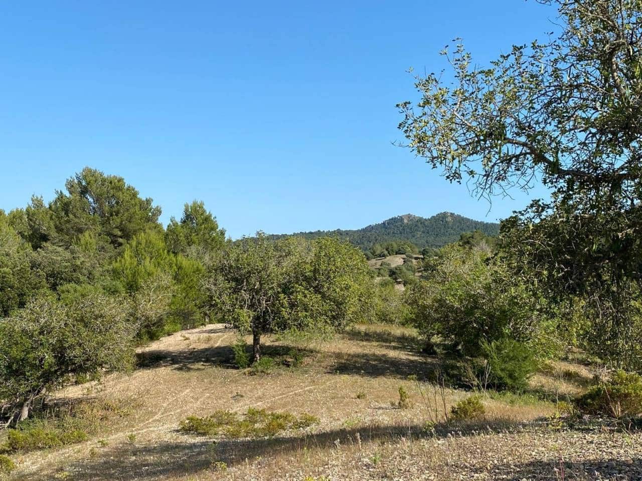 Finca/Landehus til salg i Arta - € 995.000 (Ref: 9997959)