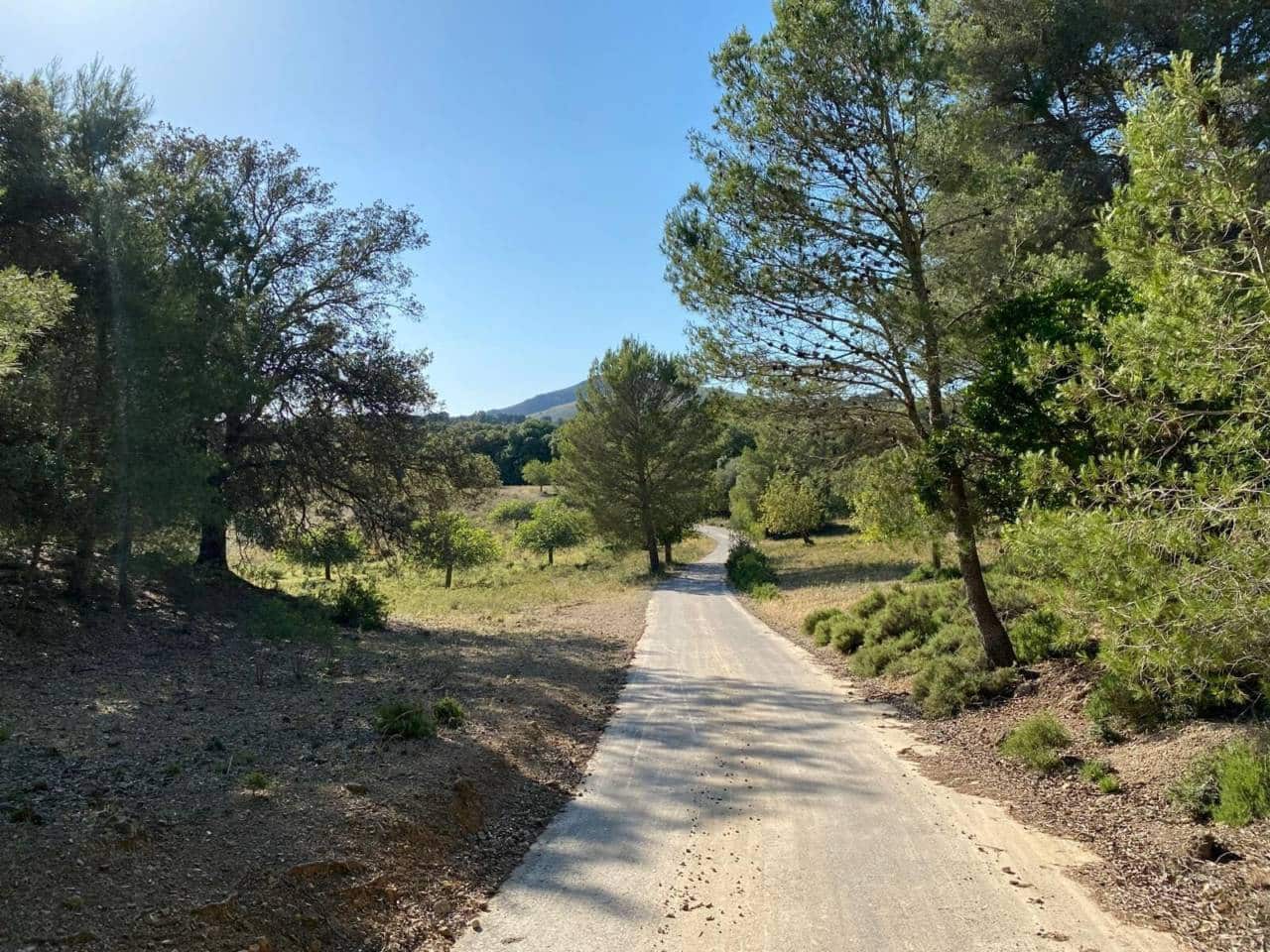 Finca/Landehus til salg i Arta - € 995.000 (Ref: 9997959)