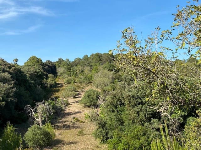 Finca/Landehus til salg i Artà - € 995.000 (Ref: 9997959)
