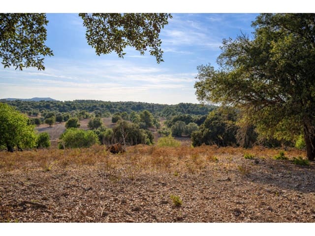 Finca/Landehus til salg i Artà - € 995.000 (Ref: 9997959)