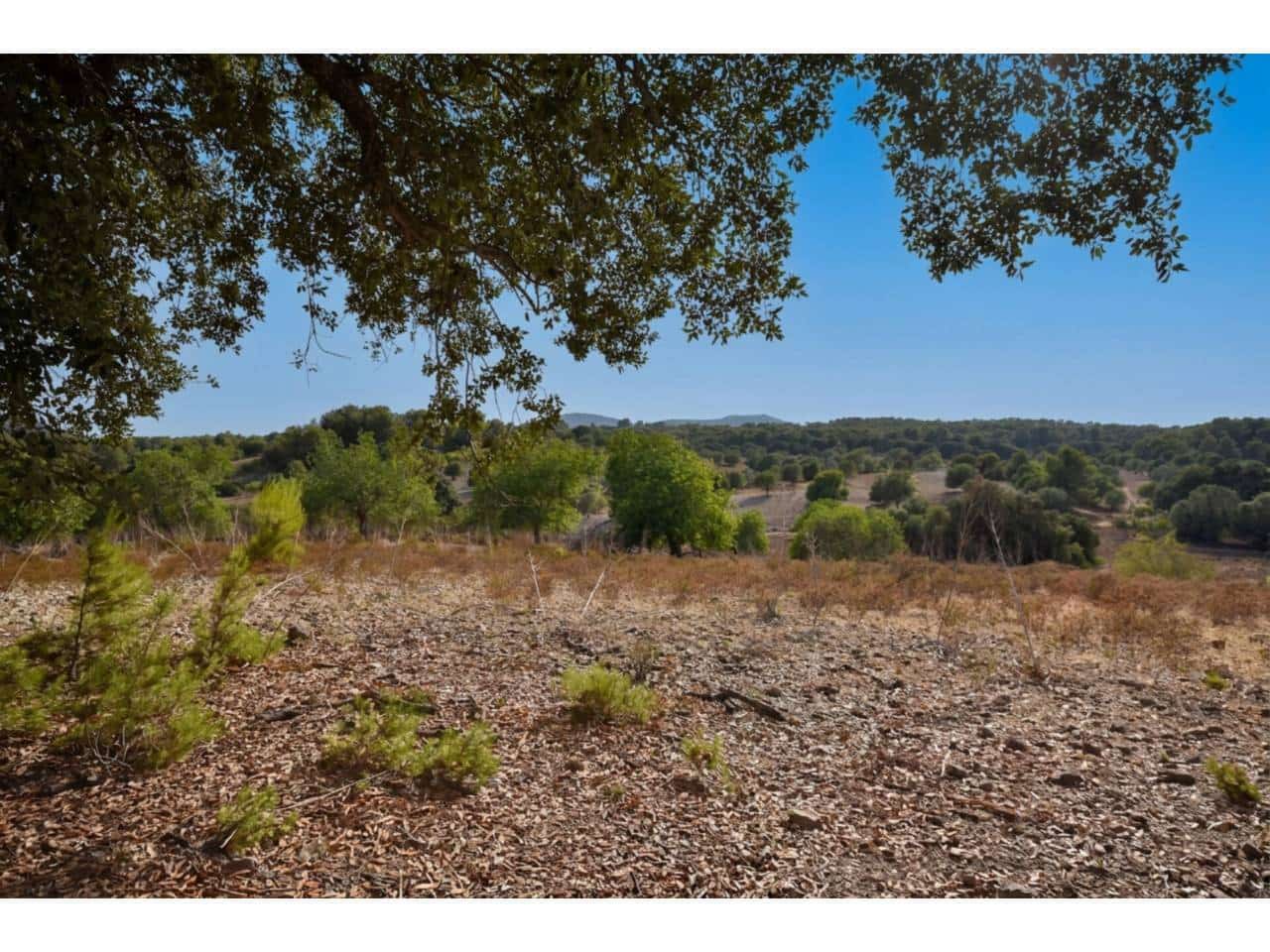 Finca/Landehus til salg i Arta - € 995.000 (Ref: 9997959)