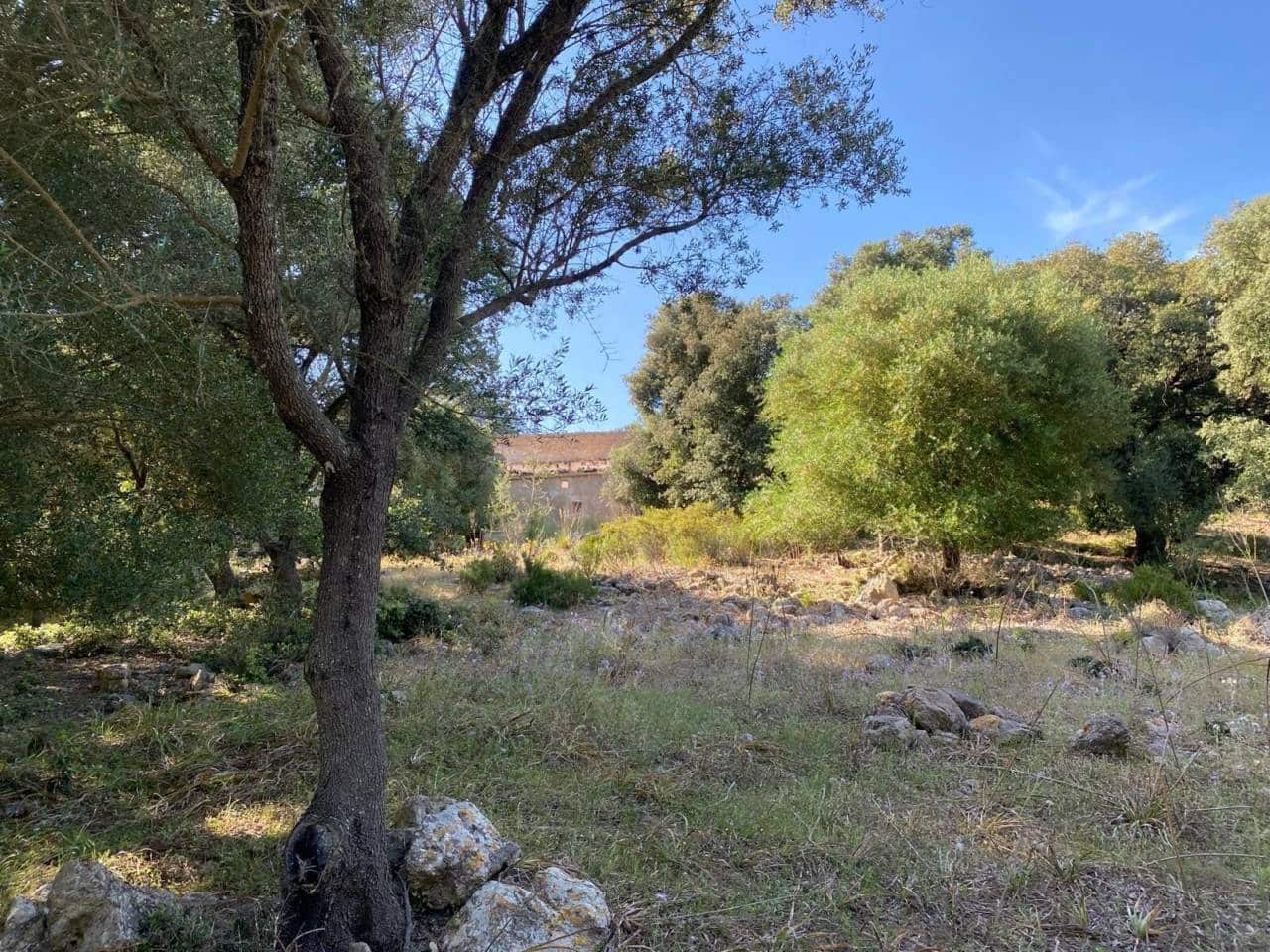 Finca/Landehus til salg i Arta - € 995.000 (Ref: 9997959)