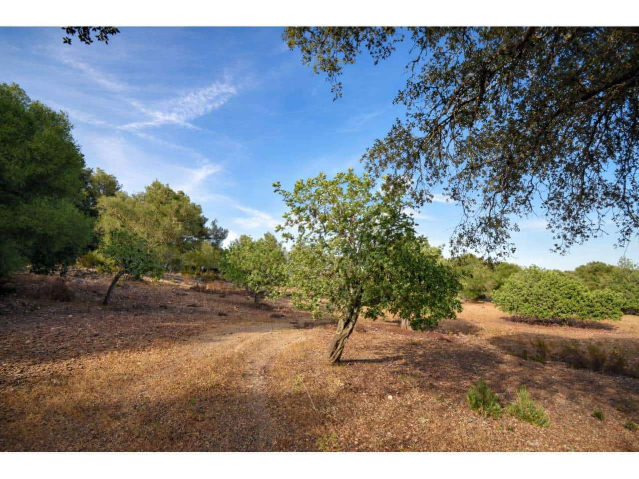 Finca/Landehus til salg i Arta - € 995.000 (Ref: 9997959)