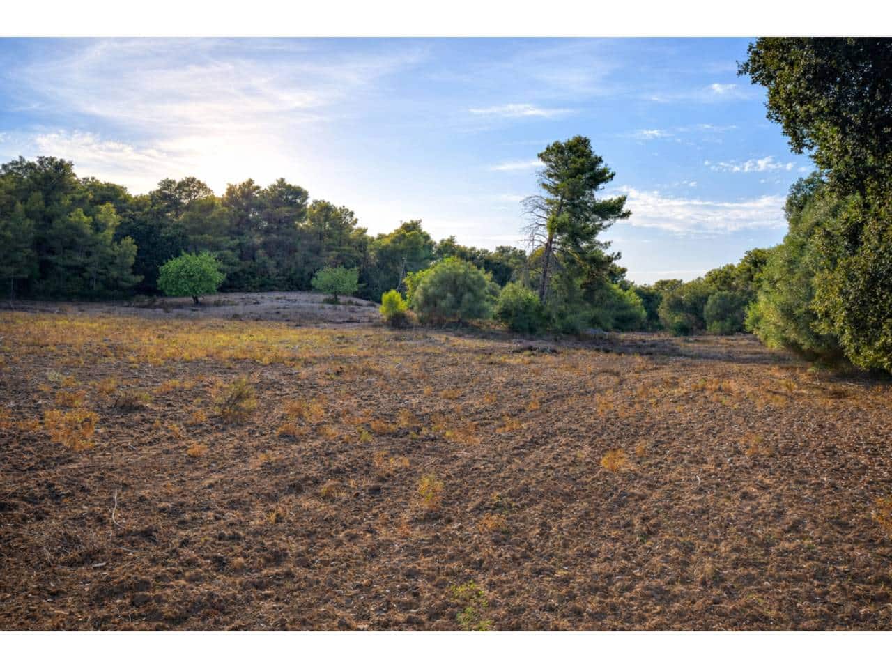 Finca/Landehus til salg i Arta - € 995.000 (Ref: 9997959)