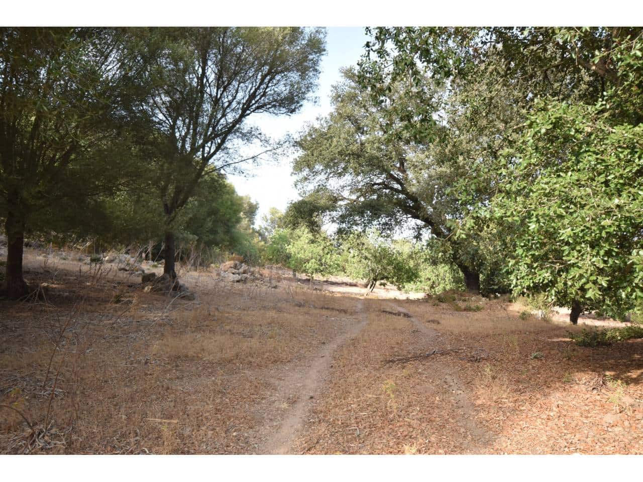 Finca/Landehus til salg i Arta - € 995.000 (Ref: 9997959)