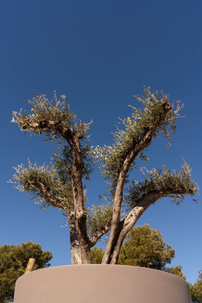 4 bedroom Villa for sale in Javea / Xabia with pool garage - € 3,200,000 (Ref: 6487678)