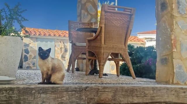 6 sypialnia Willa na sprzedaż w Albir z basenem garażem - 1 100 000 € (Ref: 9008413)
