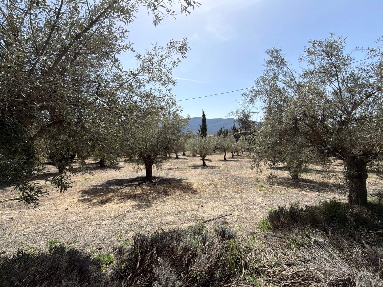 9 slaapkamer Villa te koop in Alcoy / Alcoi met zwembad garage - € 1.895.000 (Ref: 9861510)