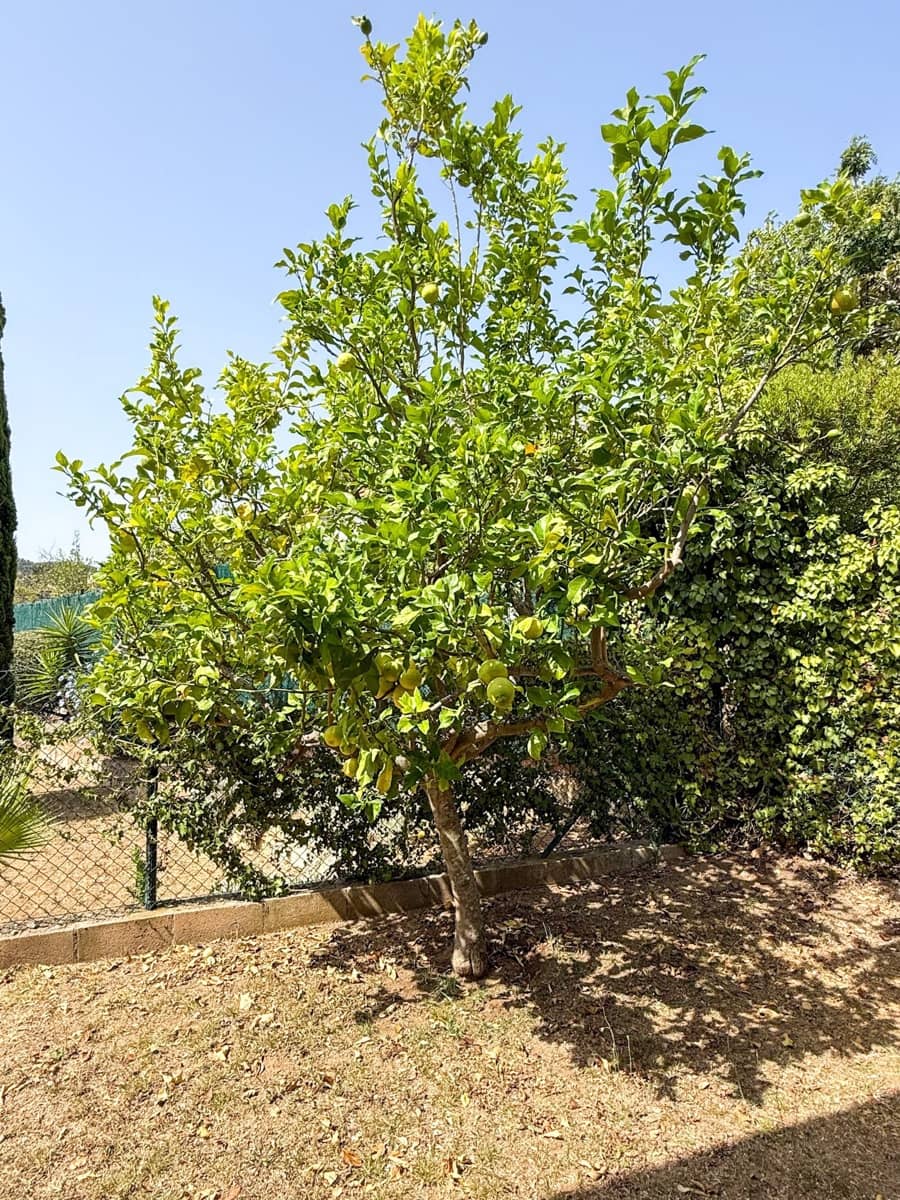 3 sovrum Villa till salu i Calonge i Sant Antoni - 495 000 € (Ref: 10034886)
