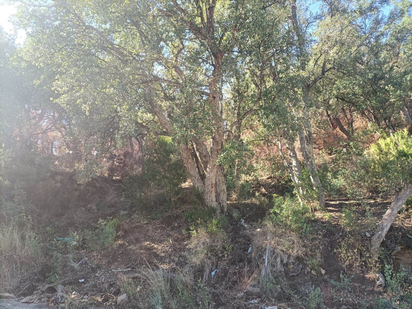 Rakentamaton maa myytävänä paikassa Calonge i Sant Antoni - 95 000 € (Ref: 10157221)