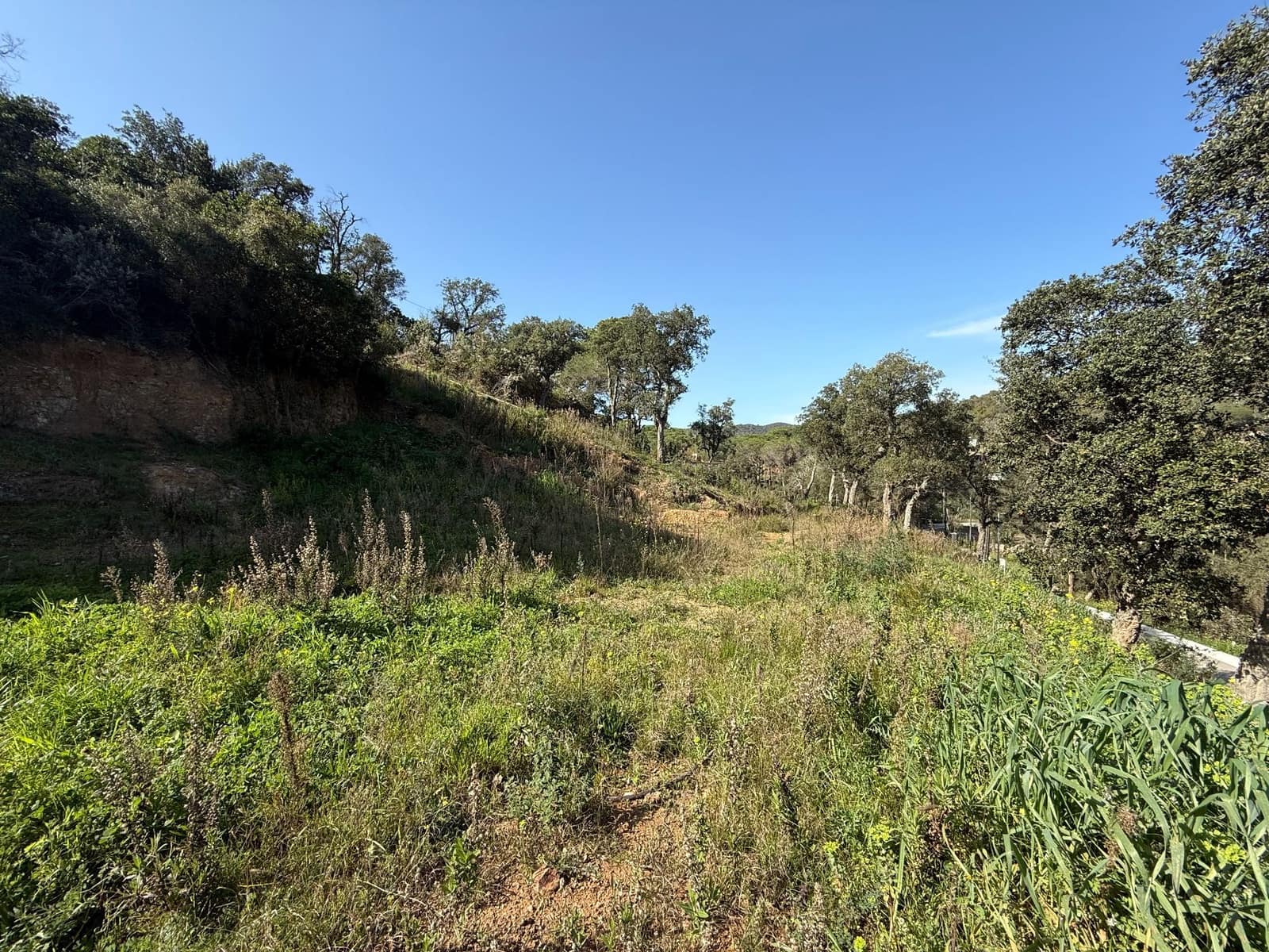 Grond te koop in Calonge i Sant Antoni - € 85.000 (Ref: 3216345)