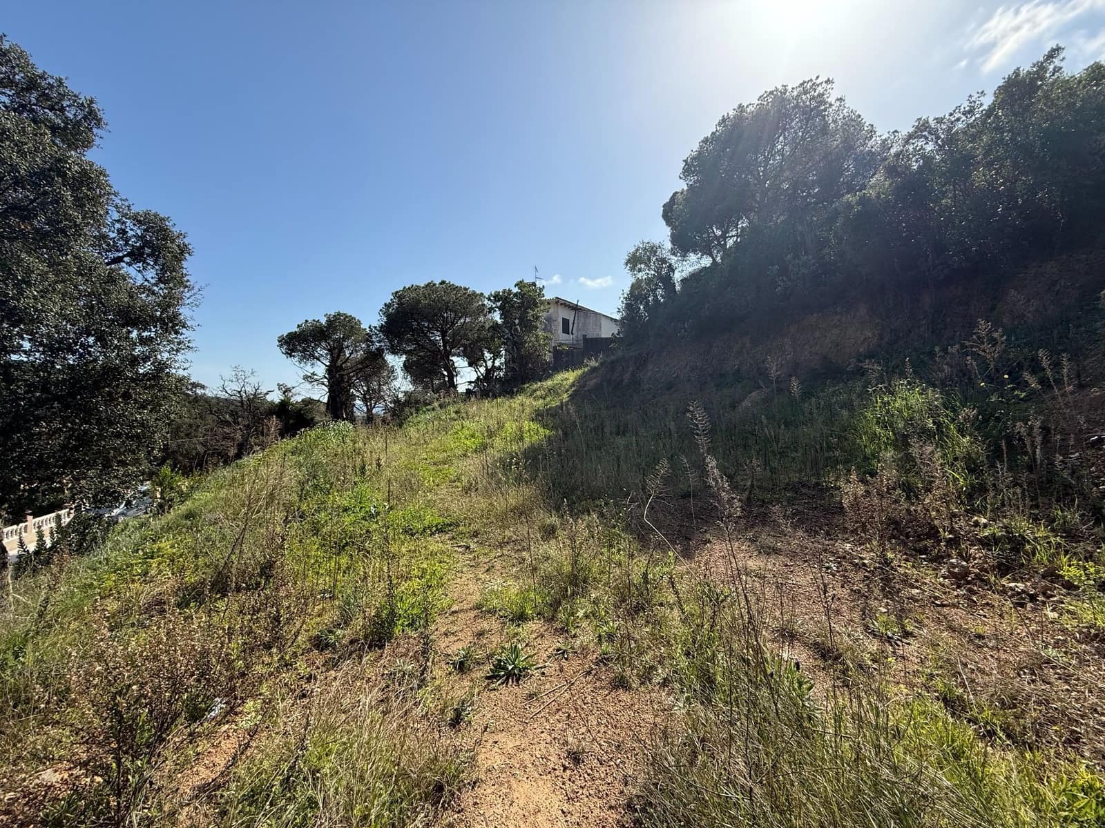 Grond te koop in Calonge i Sant Antoni - € 85.000 (Ref: 3216345)