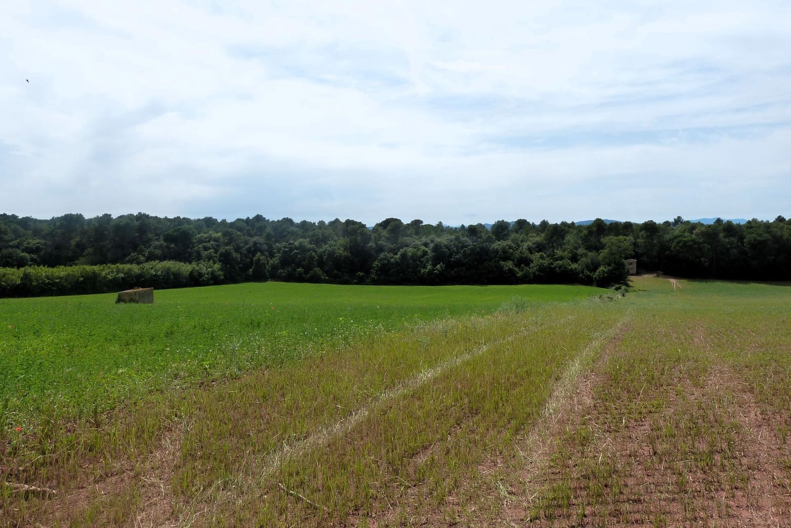 Finca/Casa di Campagna in vendita in Forallac - 80.000 € (Rif: 4641190)