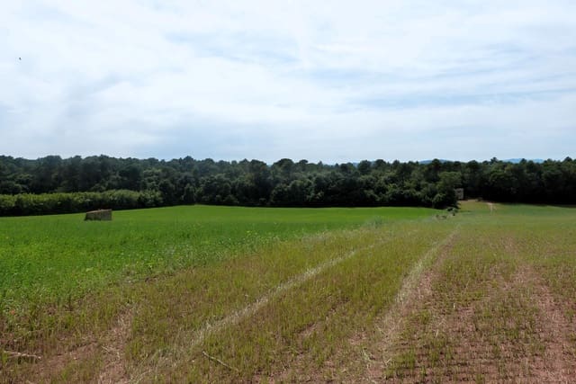 Finca/Landehus til salg i Forallac - € 80.000 (Ref: 4641190)