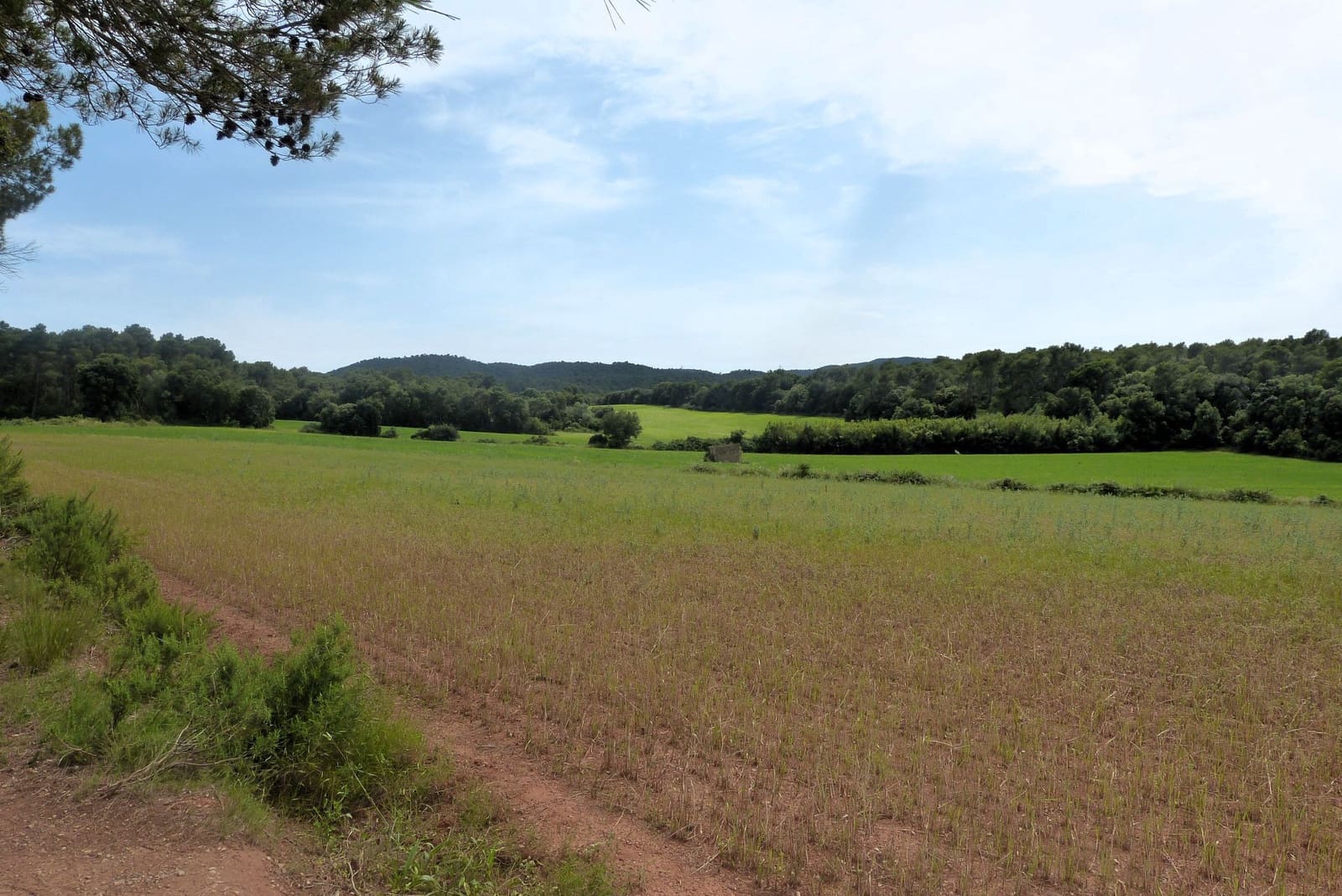 Finca/Casa di Campagna in vendita in Forallac - 80.000 € (Rif: 4641190)