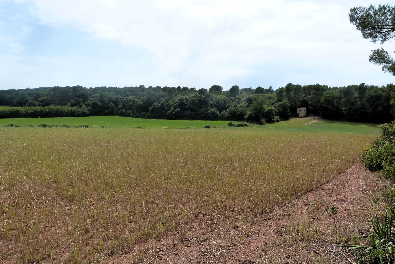 Finca/Casa di Campagna in vendita in Forallac - 80.000 € (Rif: 4641190)