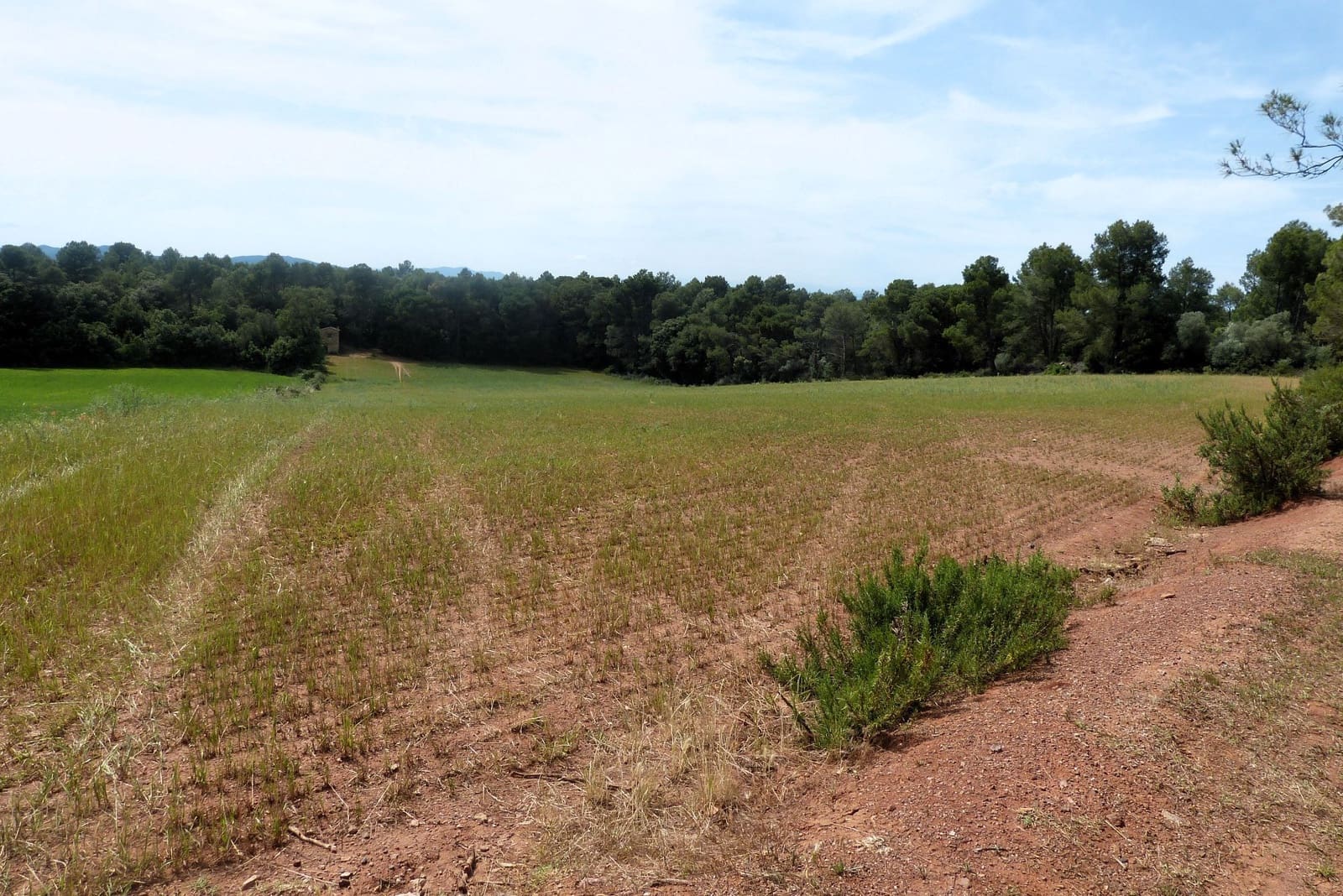 Finca/Casa di Campagna in vendita in Forallac - 80.000 € (Rif: 4641190)