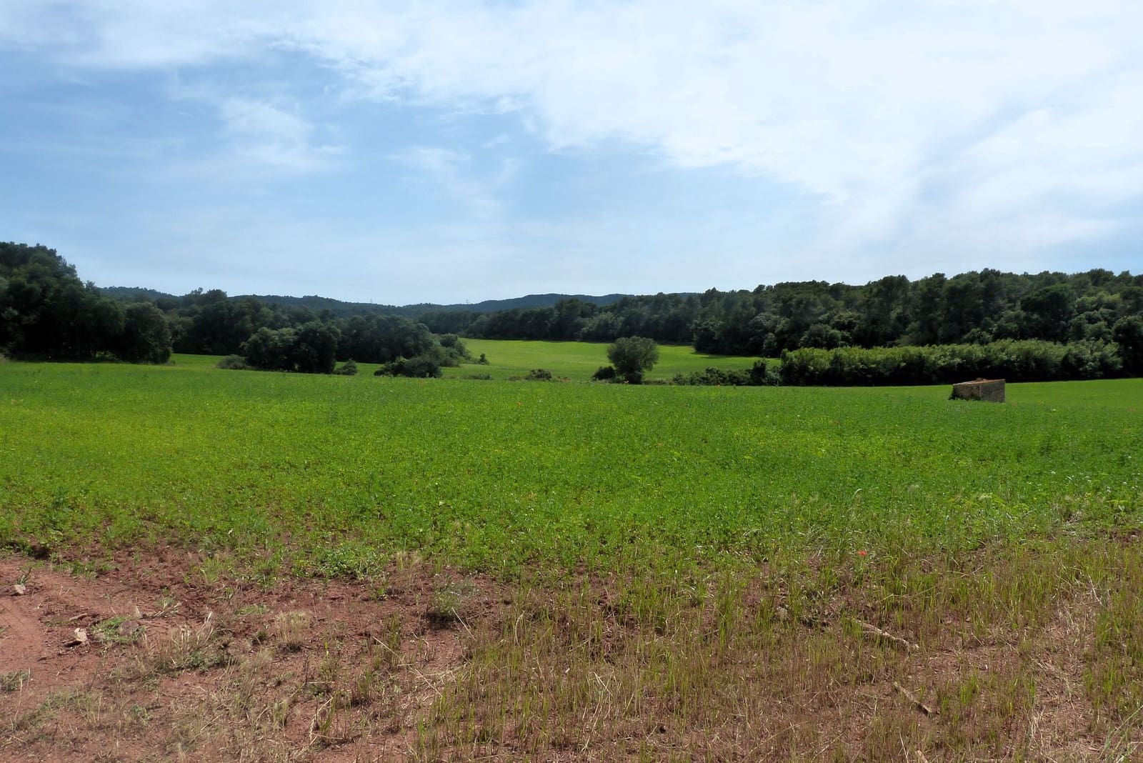 Finca/Casa di Campagna in vendita in Forallac - 80.000 € (Rif: 4641190)