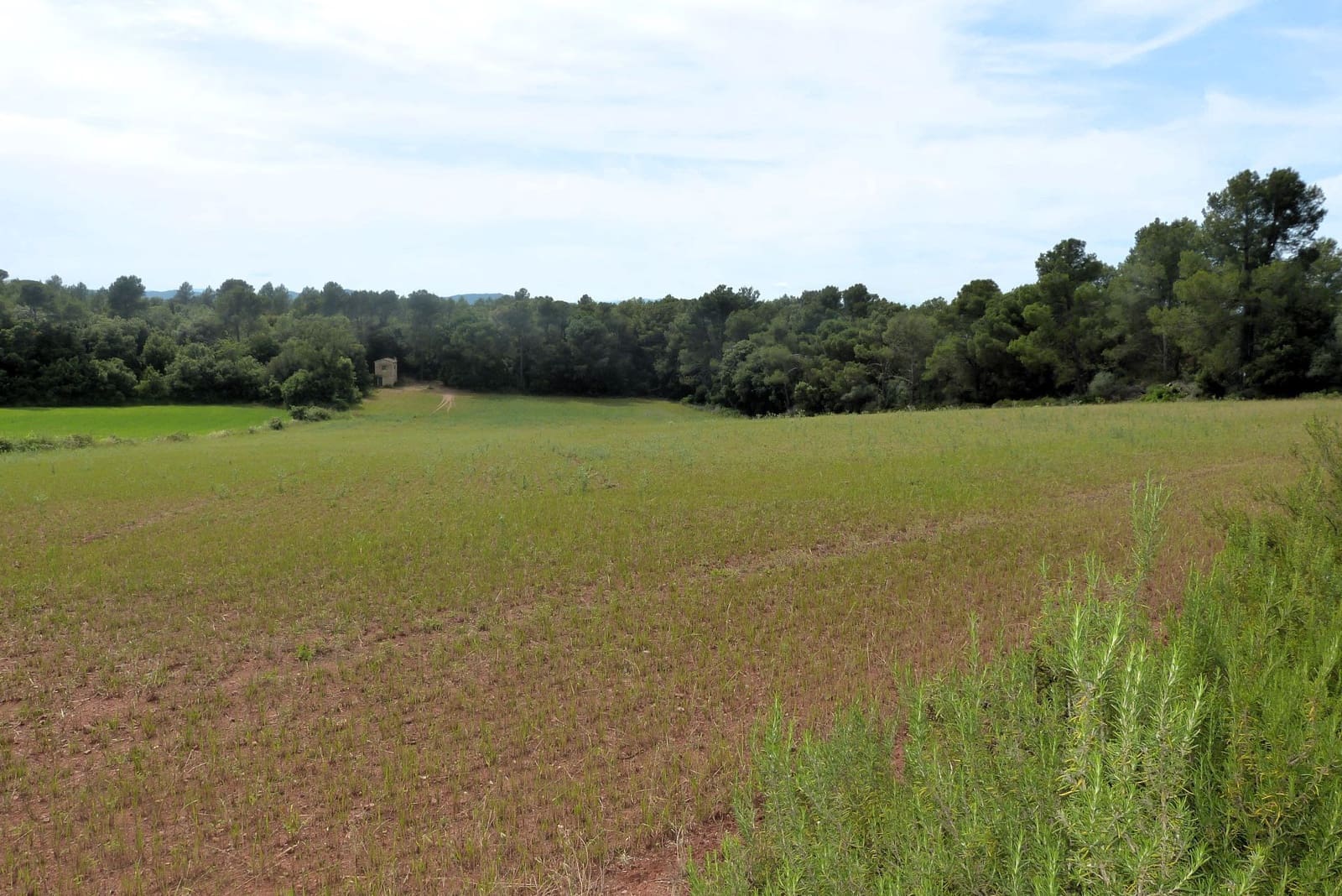 Finca/Casa di Campagna in vendita in Forallac - 80.000 € (Rif: 4641190)