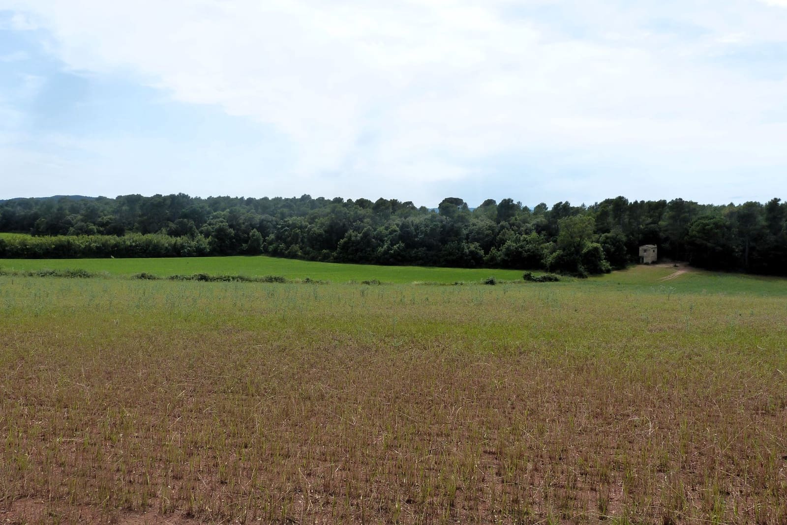 Finca/Casa di Campagna in vendita in Forallac - 80.000 € (Rif: 4641190)