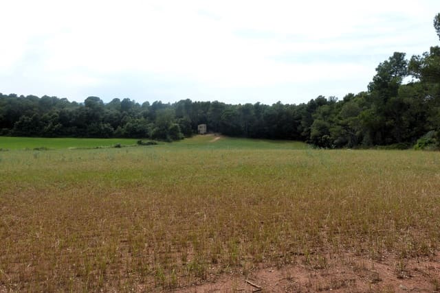 Finca/Landehus til salg i Forallac - € 80.000 (Ref: 4641190)