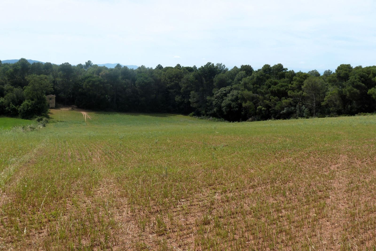 Finca/Casa di Campagna in vendita in Forallac - 80.000 € (Rif: 4641190)