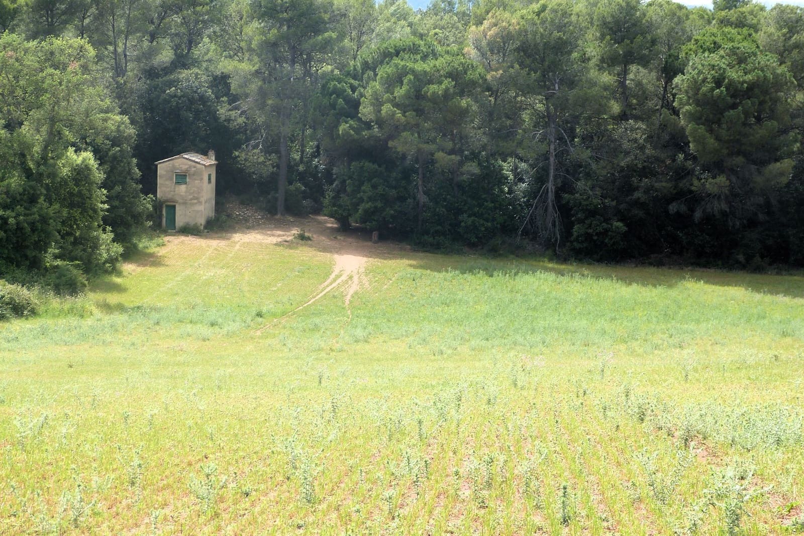 Finca/Casa di Campagna in vendita in Forallac - 80.000 € (Rif: 4641190)