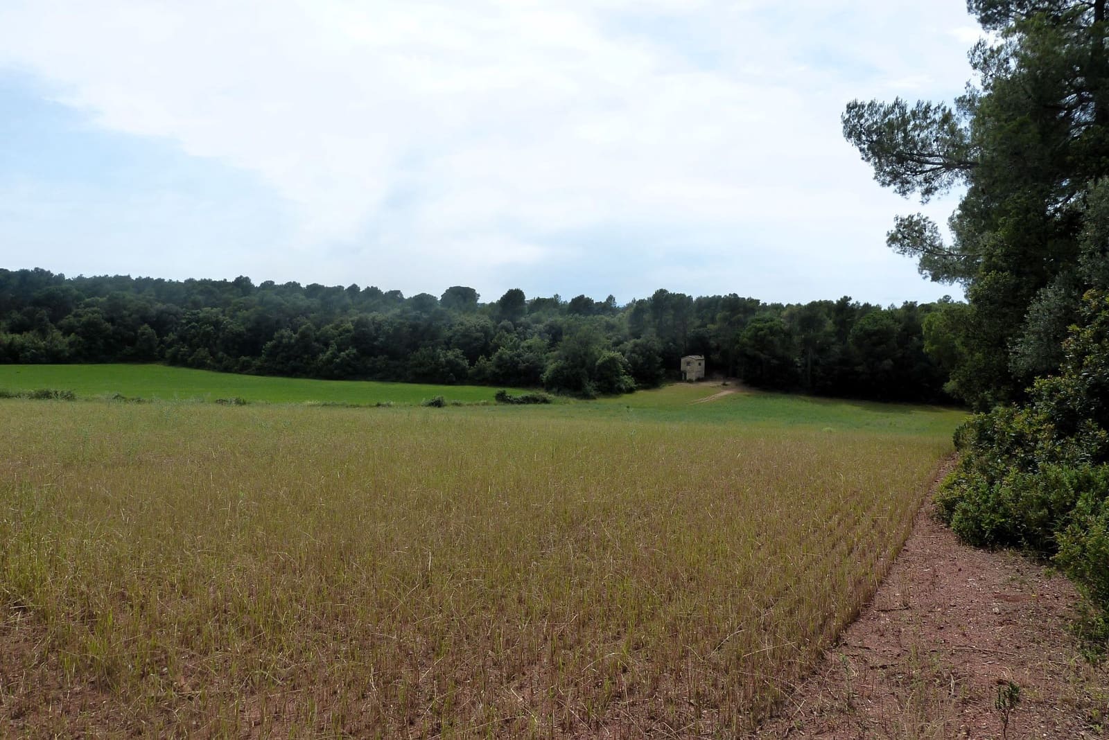 Finca/Casa di Campagna in vendita in Forallac - 80.000 € (Rif: 4641190)