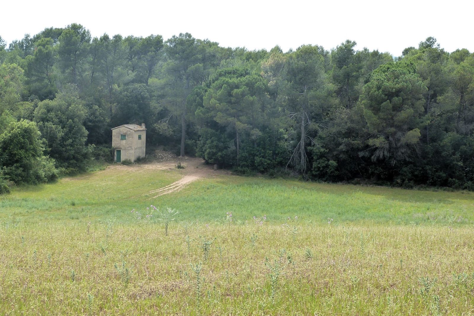 Finca/Casa di Campagna in vendita in Forallac - 80.000 € (Rif: 4641190)