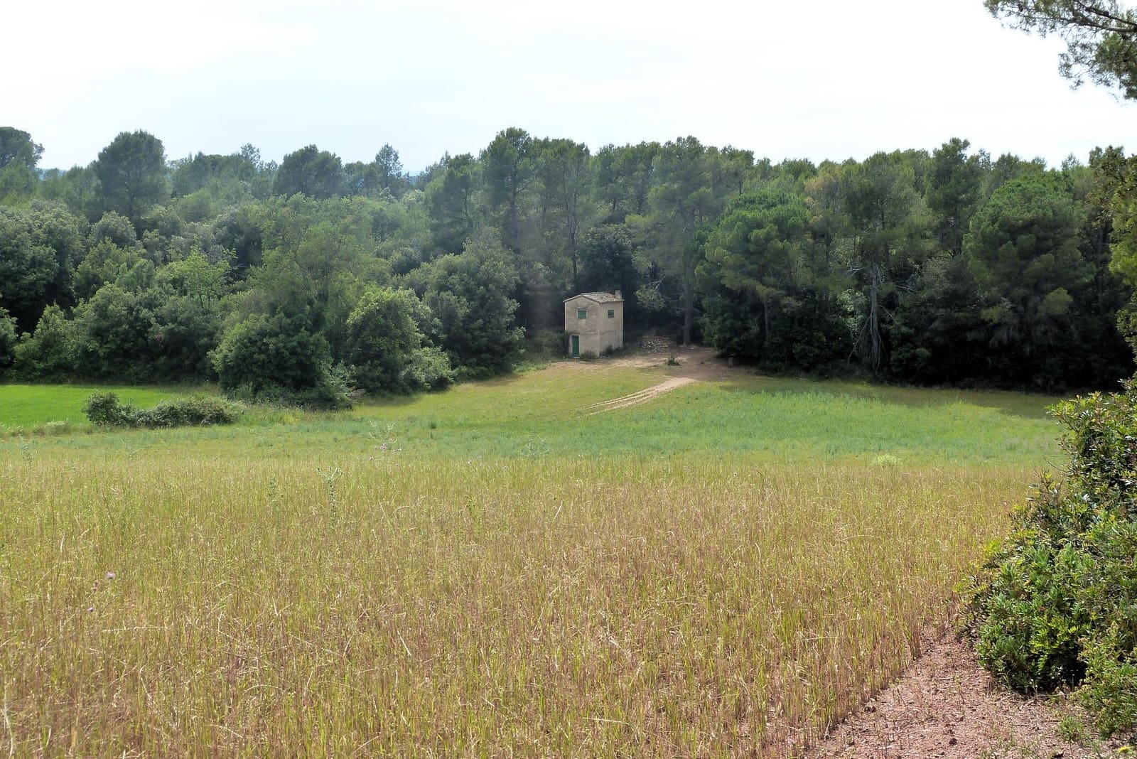 Finca/Casa di Campagna in vendita in Forallac - 80.000 € (Rif: 4641190)