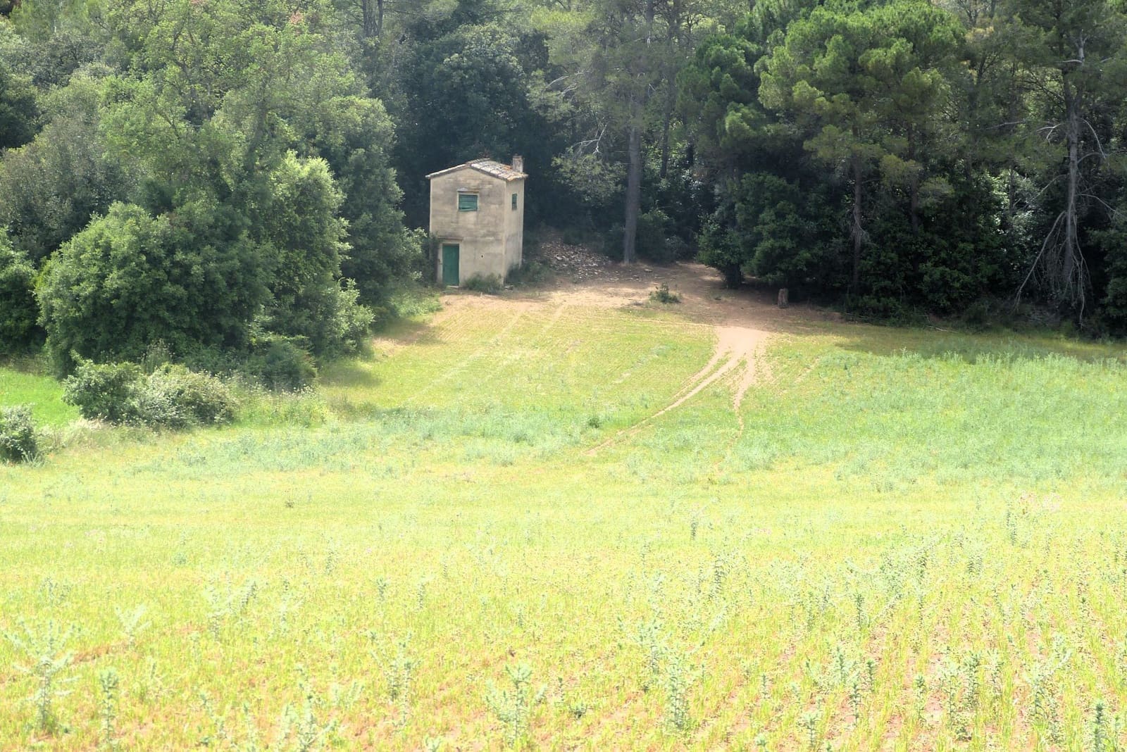 Finca/Casa di Campagna in vendita in Forallac - 80.000 € (Rif: 4641190)